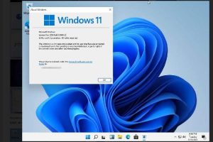 ویندوز 11