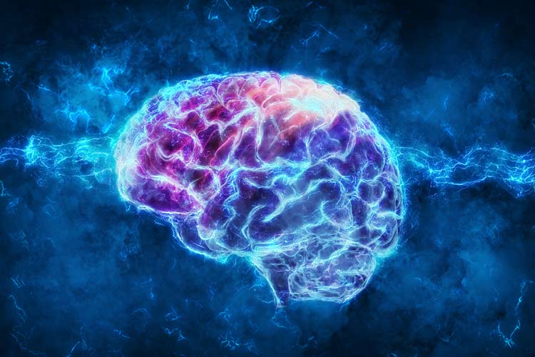 حجم مغز انسان به‌آرامی اما پیوسته در حال افزایش می باشد