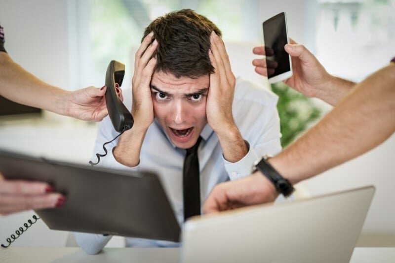 رشد کسب و کار