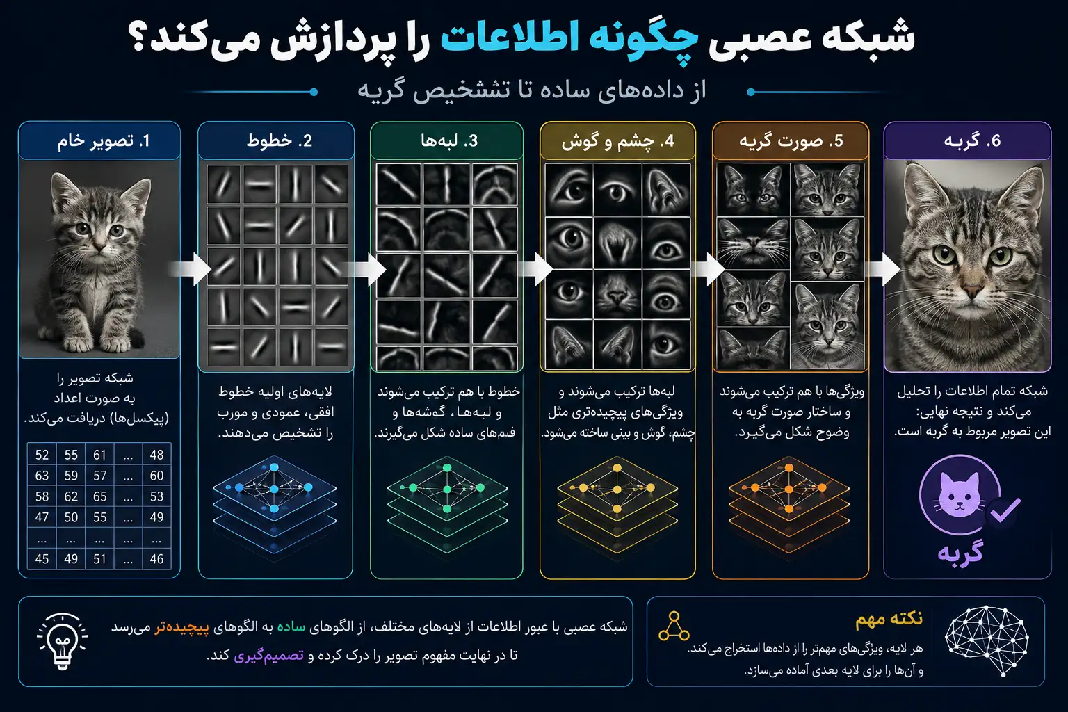 پردازش اطلاعات در شبکه عصبی